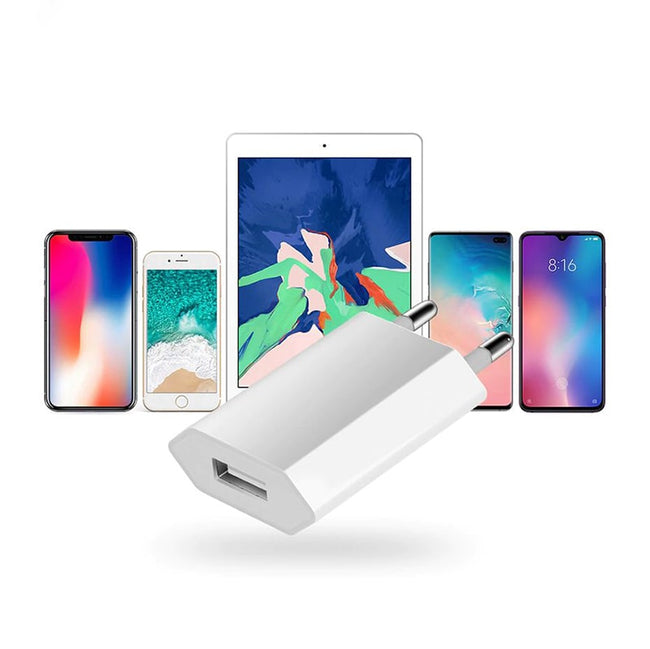 Ładowarka Sieciowa (5W) do iPhone, iPad - Wersja Pudełkowa