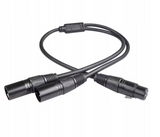 Splitter mikrofonowy Betune® XLR Y - 1×XLR męski → 2×XLR żeńskie, 50 cm