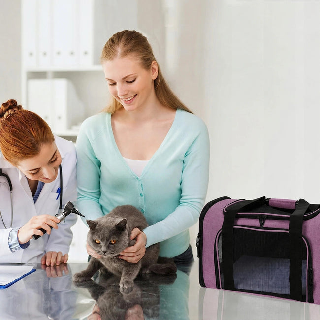 Transporter / Torba dla Psa / Kota do 9kg - Składany, Wentylowany - Różowy