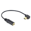 Adapter Mini Jack do Mikrofonu GoPro - 3,5 mm, 17,5 cm